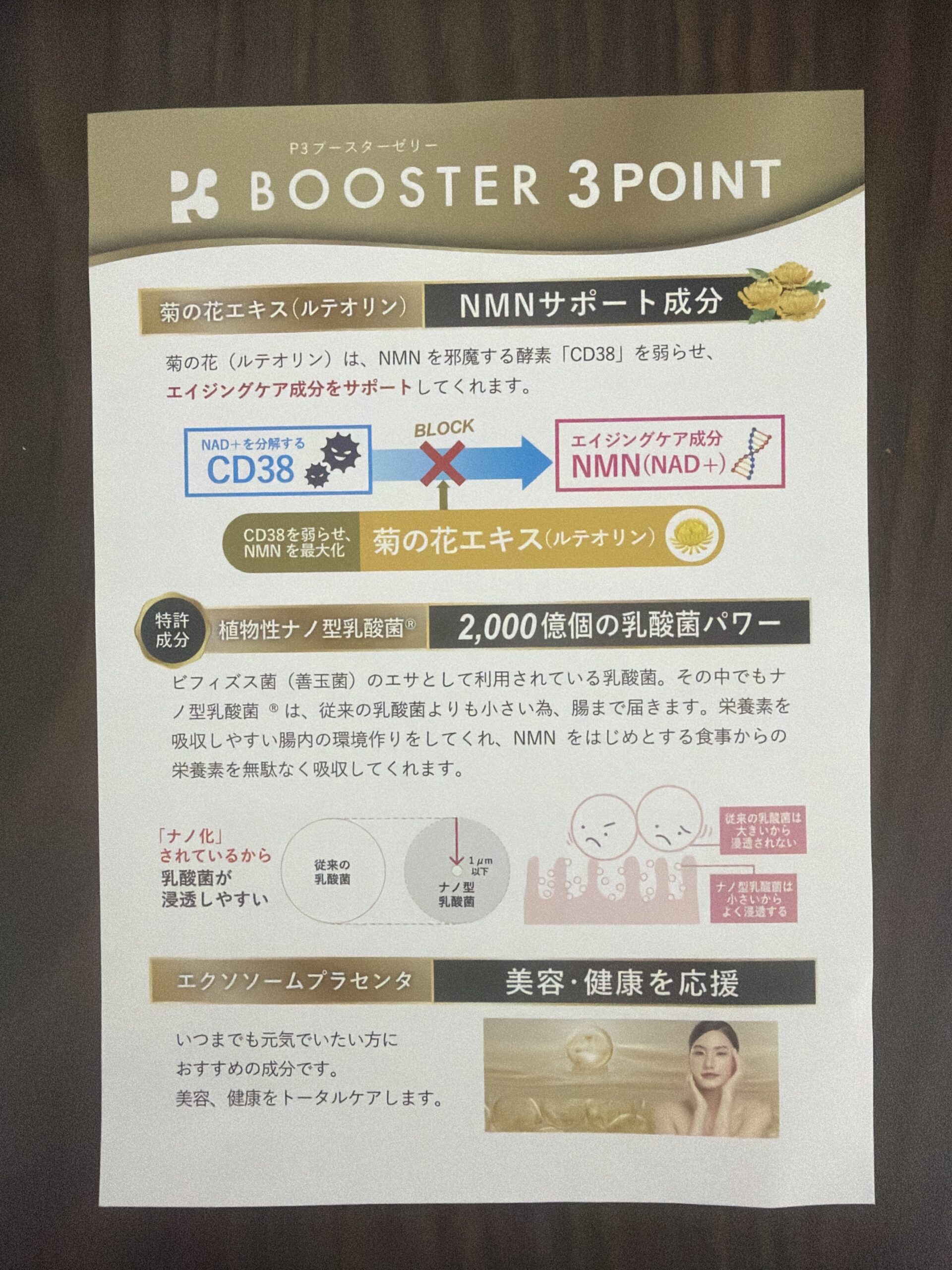 P3ブースターの菊の花エキスや乳酸菌を紹介する同梱資料